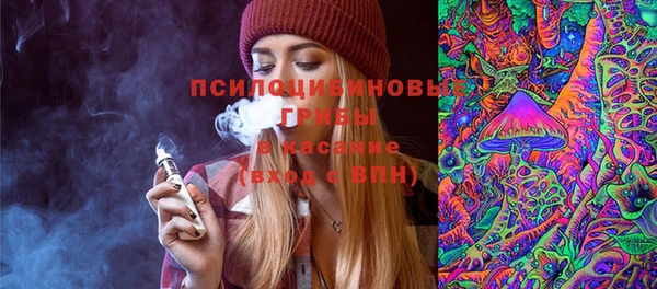 молекула духа Алексеевка