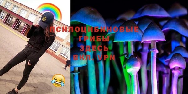 молекула духа Алексеевка